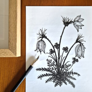 Atelier 2/ Initiation au papier découpé au scalpel/ 12.9.2026