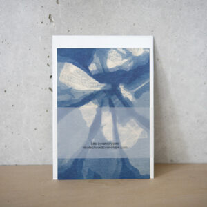 Carte postale A6 - 12