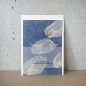 Carte postale A6 - 10